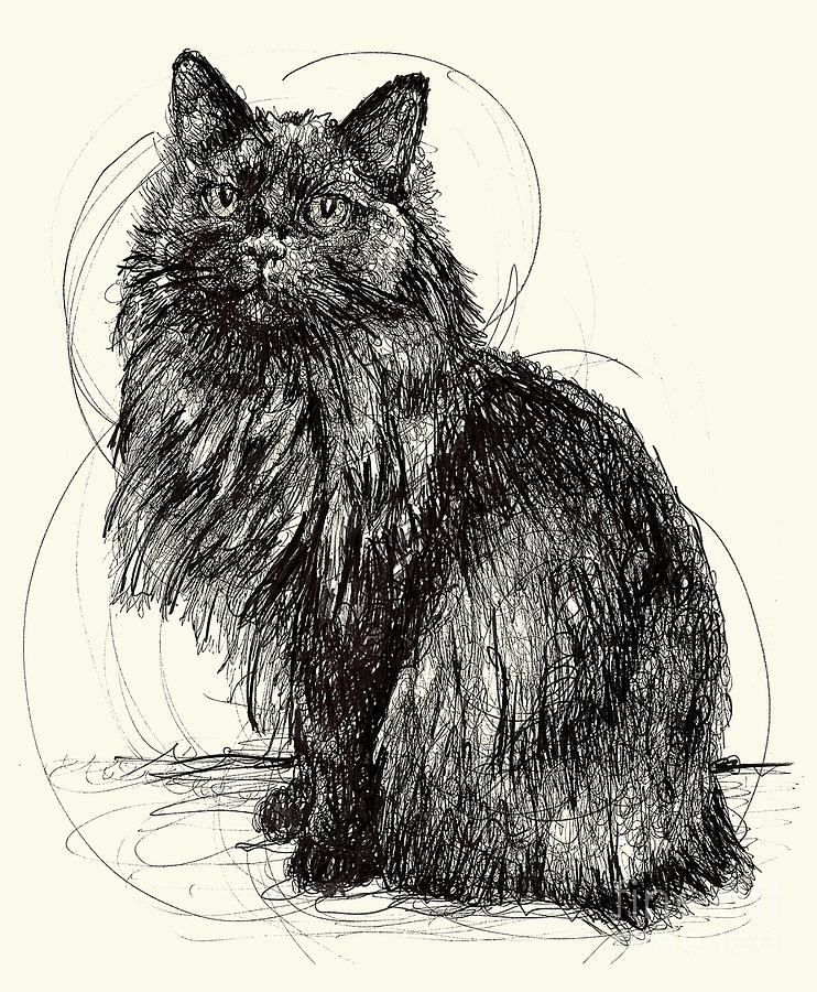 Kitty Drawing