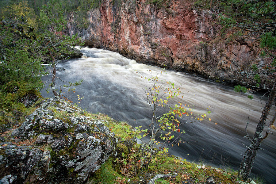 Kiutakongas Photograph by Aivar Mikko
