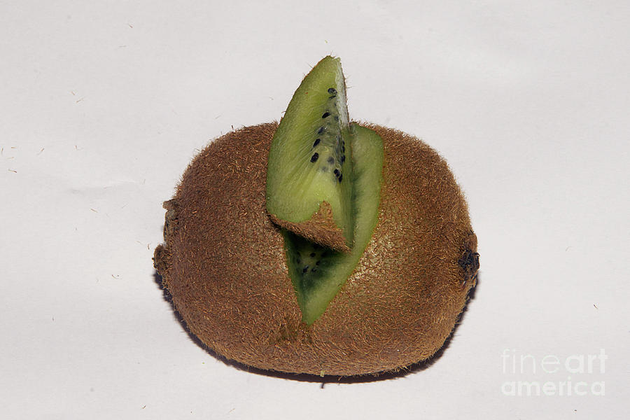 Fruit Photograph - Kiwi by Elvira Ladocki