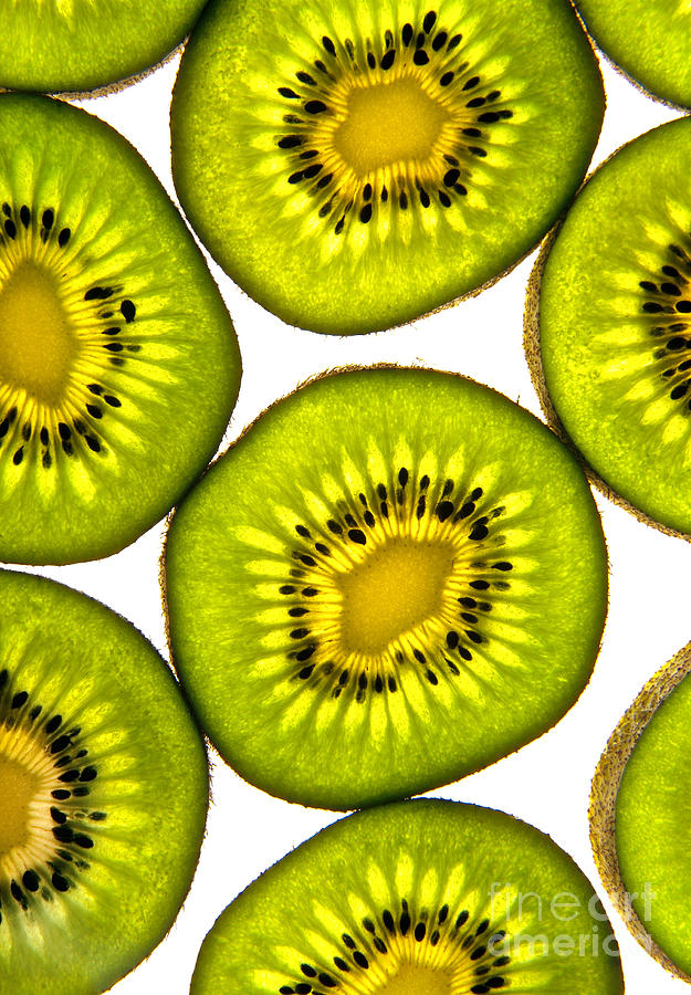 Kiwi fruit Photograph by Sterling Gold