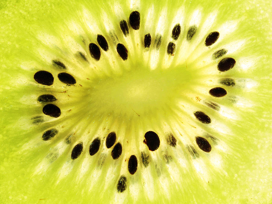 KIWI Fruit Photograph by Paul Ge