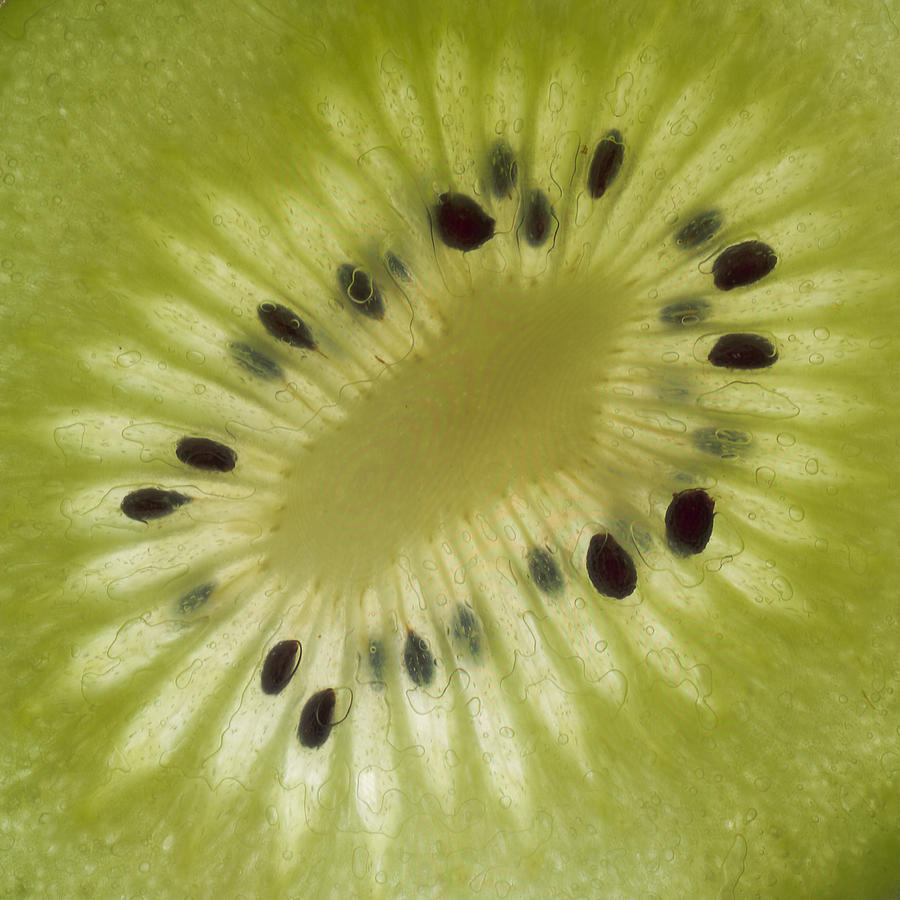 Kiwi Fruit Slice Photograph by Helen Jackson
