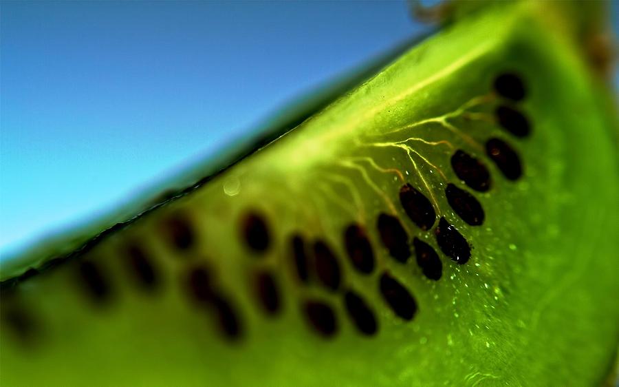 Kiwi Photograph - Kiwi by Jackie Russo