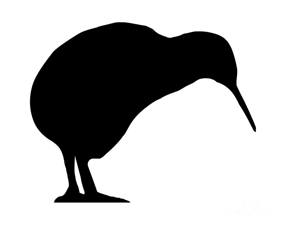 Kiwi Silhouette Digital Art by Bigalbaloo Stock | Fine Art America