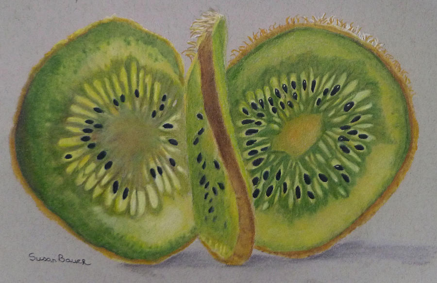 Kiwi Slices Painting by Susan Bauer
