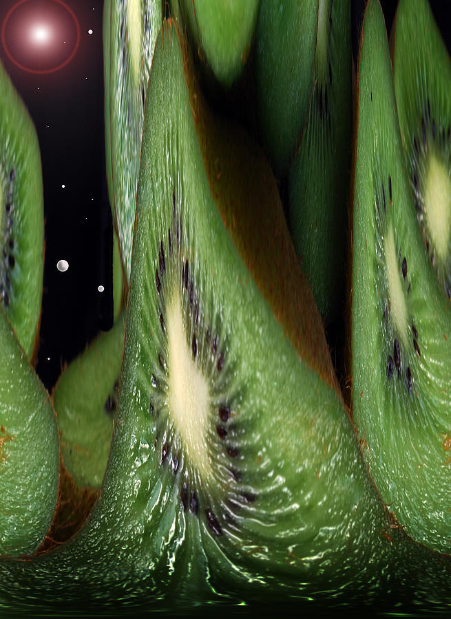 Kiwi Fruit Photograph - Kiwi Space by Terence Davis