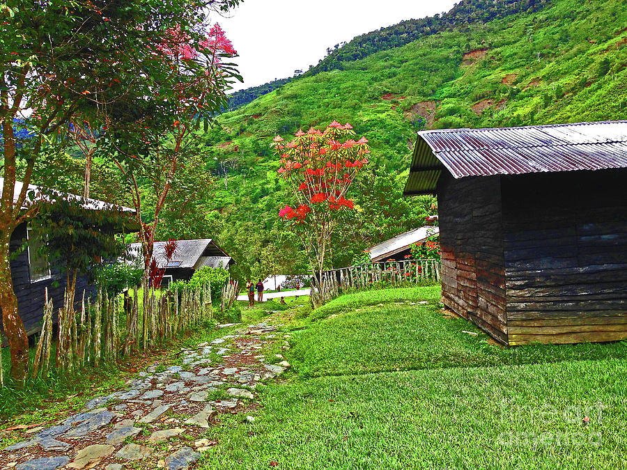 Kiwi Village of Papua Photograph by Eunice Warfel