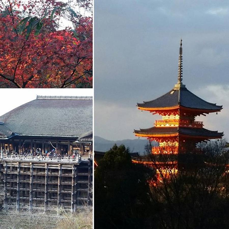 Scenery Photograph - Kiyomizu Temple In Kyoto  Japan
#kyoto by Lady Pumpkin