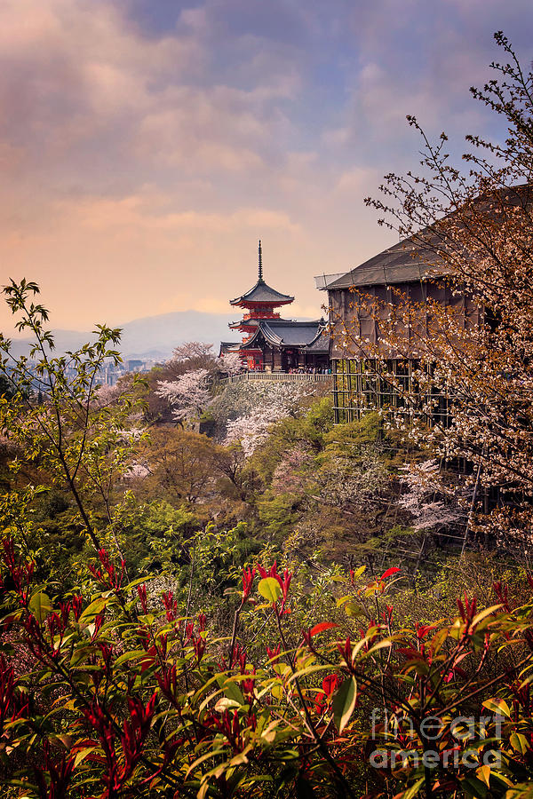Kiyomizudera Pagoda and Butai at Dusk Photograph by Karen Jorstad