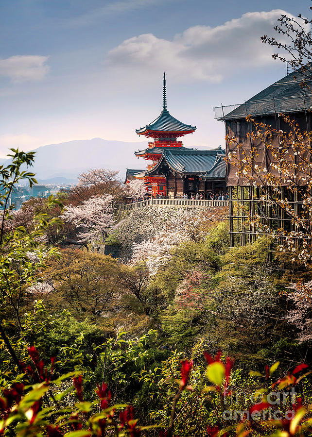 Kiyomizudera Pagoda and Butai Photograph by Karen Jorstad