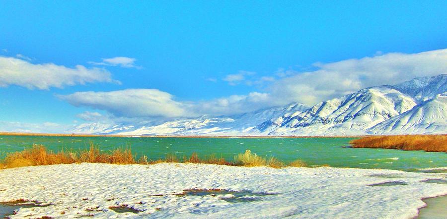 Klondike Winter Photograph by Marilyn Diaz - Pixels