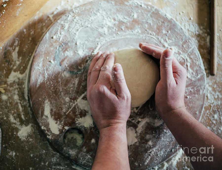 Kneading and making dough Photograph by Jelena Jovanovic