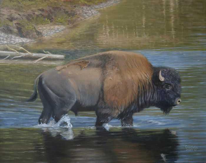 Yellowstone National Park Painting - Knee Deep by Dan Mills
