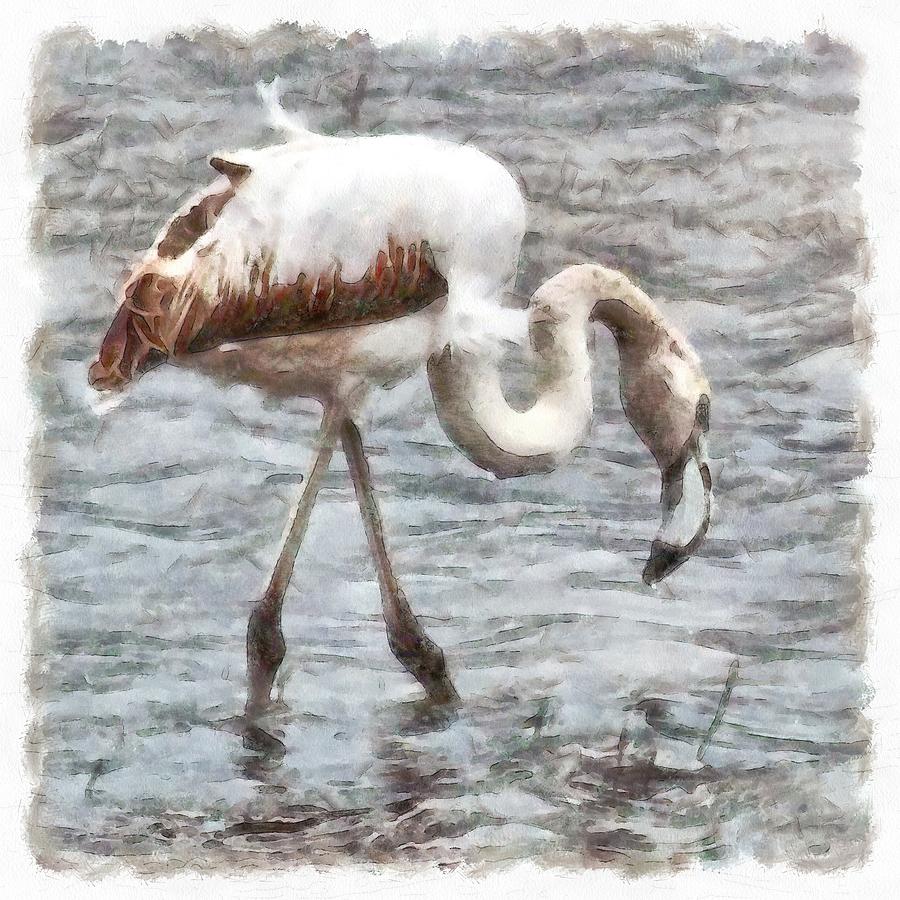 Knee Deep Flamingo Watercolor  Painting by Taiche Acrylic Art
