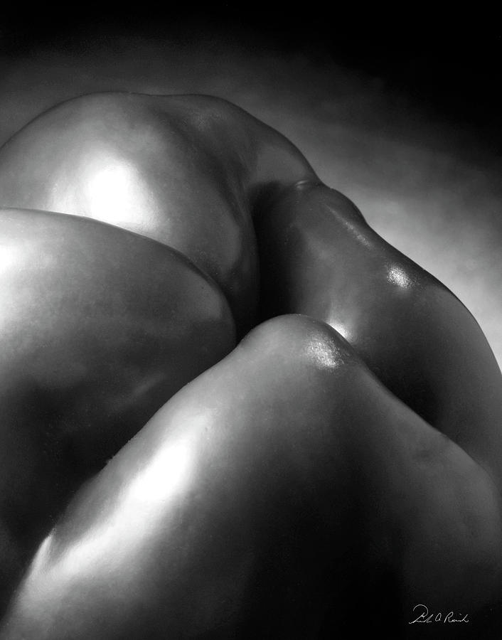 Knees and Elbows Photograph by Frederic A Reinecke