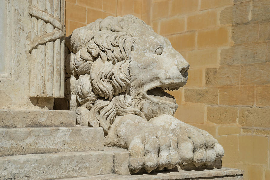 Knights of Malta Legacy Guardian - Regal Lion Sculpture Photograph by Georgia Mizuleva