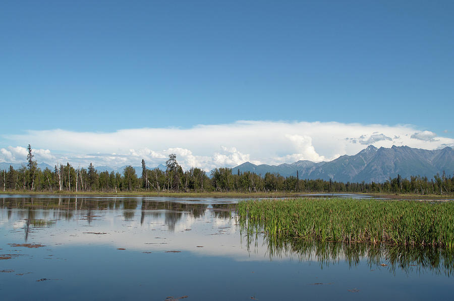 Mountain Photograph - Knik River Drainage by Cathy Mahnke