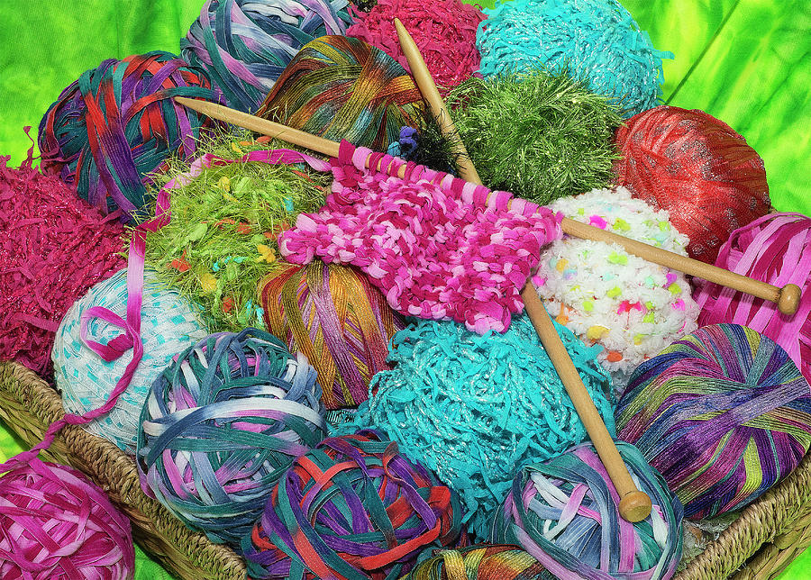 Knit Shoppe Photograph by Carole Gordon