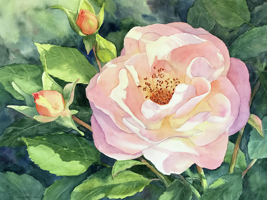 Knockout Rose and Buds Painting by Vikki Bouffard