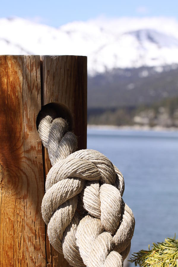 Knot in Tahoe Photograph by Jeff Floyd CA