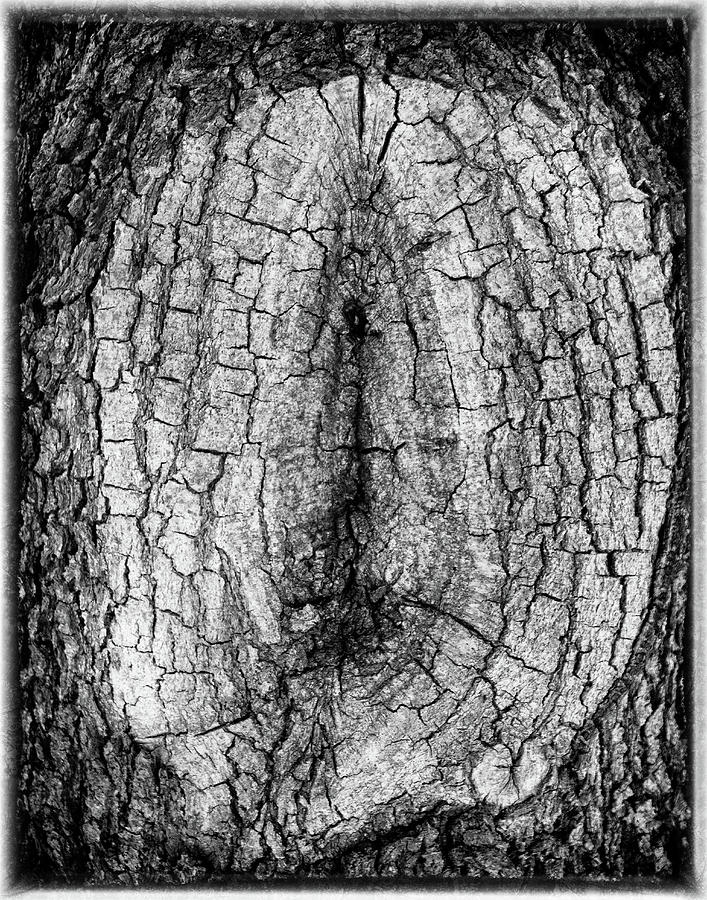 Knot by Michael Raiman Knot by Michael Raiman