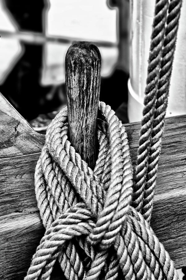 Knots Photograph by Alberto Audisio