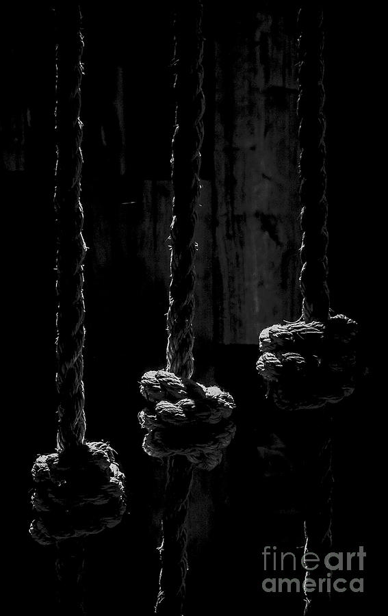 Knotted at Three Photograph by James Aiken