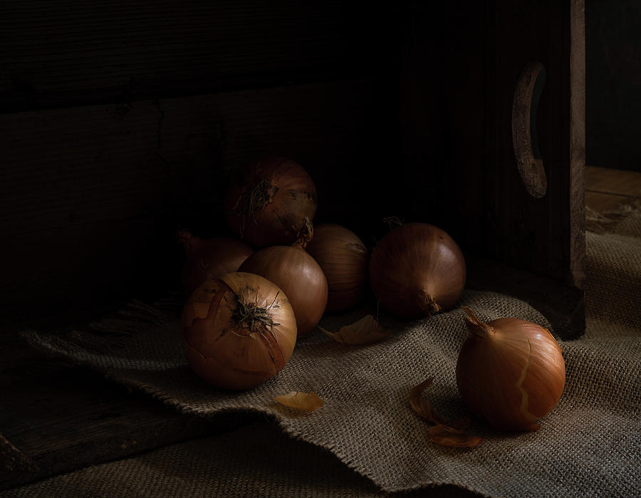 Onions Photograph - Know Your Onions by Phillips and Phillips Onions Photograph - Know Your Onions by Phillips and Phillips