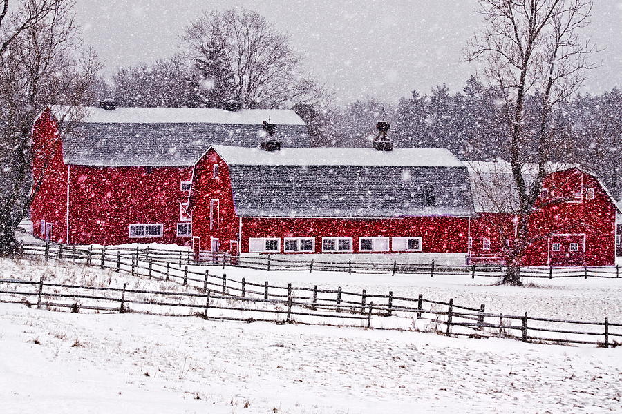 Knox Farm Snowfall Photograph by Don Nieman