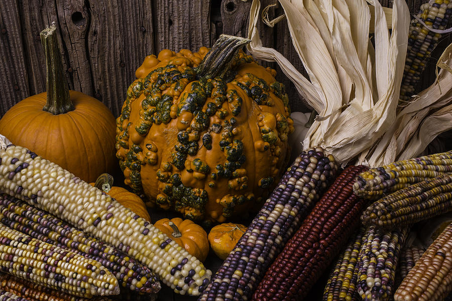 Fruit Photograph - Knuklehead Pumpkin And Indian Corn by Garry Gay