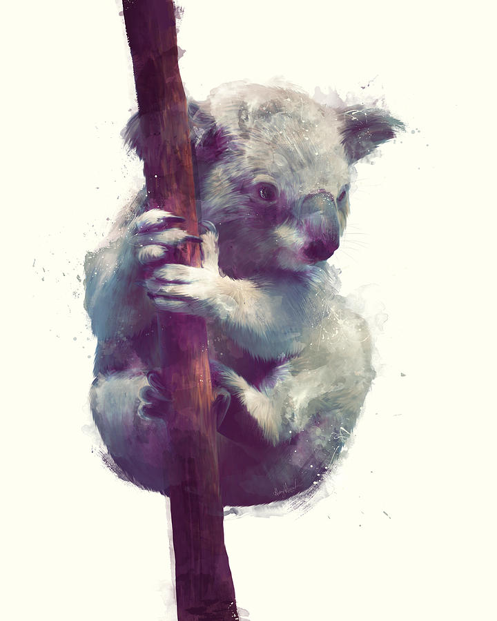Animal Painting - Koala by Amy Hamilton