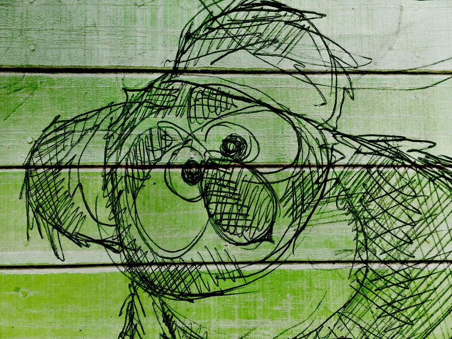 Koala Drawing by C H