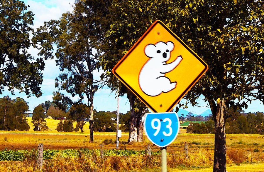 Koala Sign Down Under Digital Art by Susan Vineyard