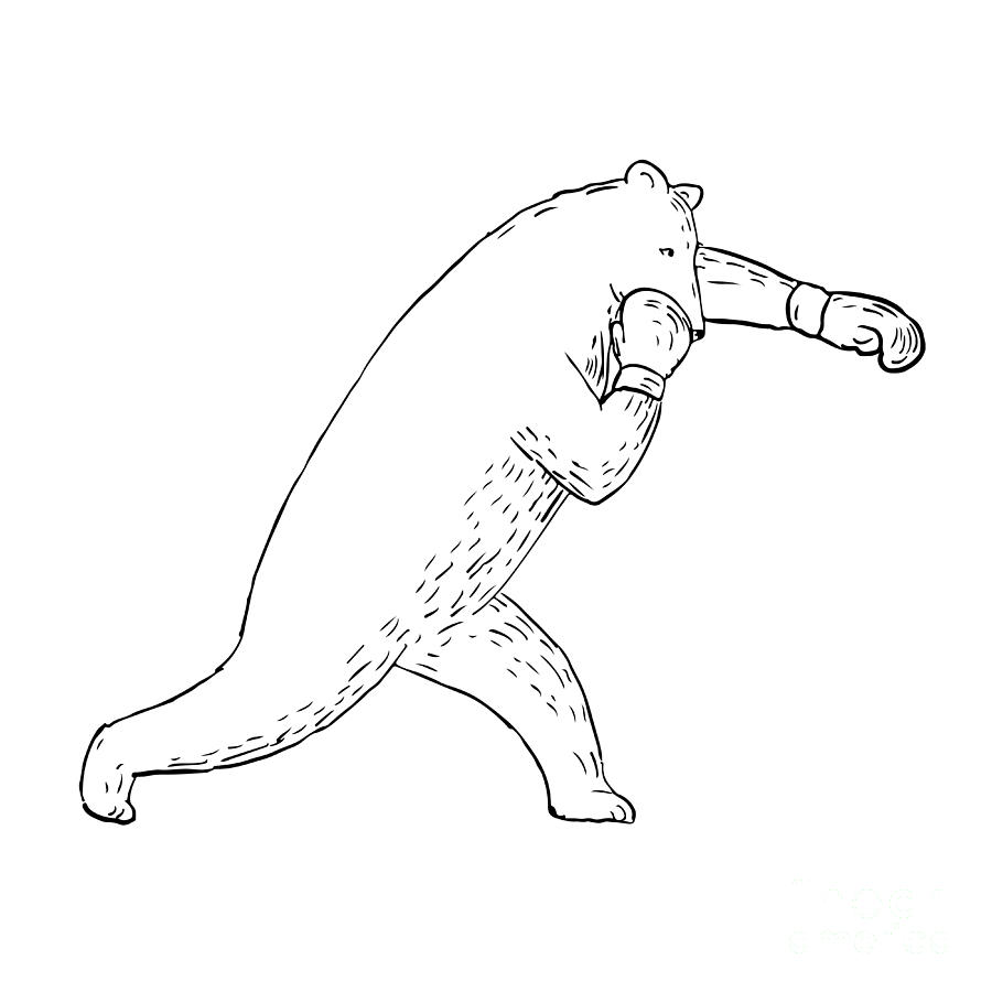 Kodiak Bear Left Straight Punch Drawing Digital Art by Aloysius