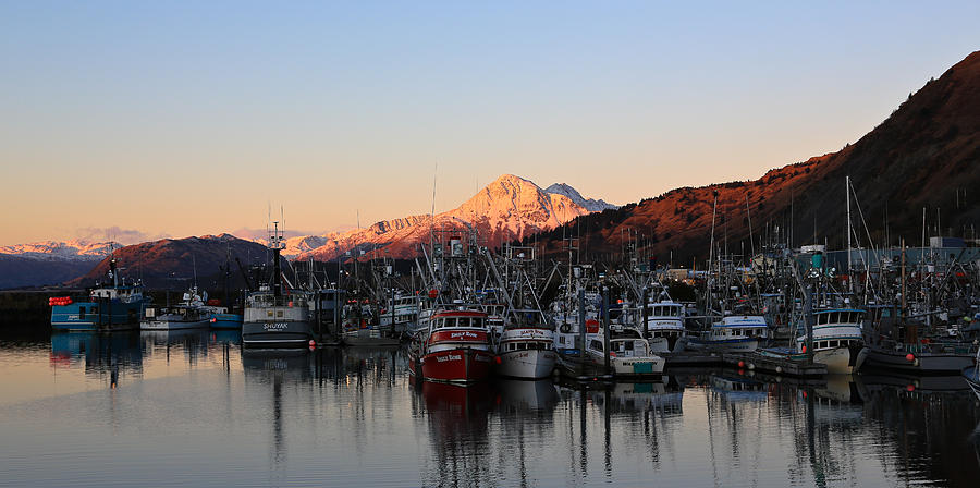 Kodiak Boat Harbor Photograph by Sam Amato