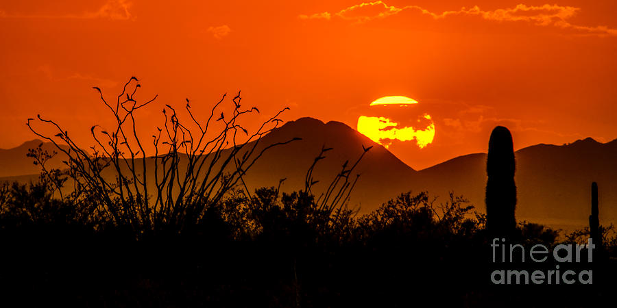 Kofa Sunset Photograph by Lisa Manifold