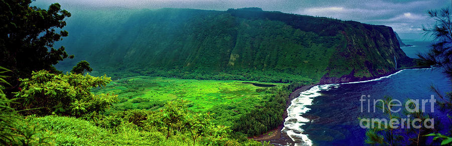 Kohala forest preserve Waipio valley look out big island Hawaii Photograph by Tom Jelen