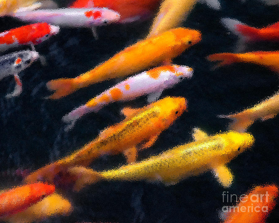 Koi Abstract 1 Photograph by Michael Arend