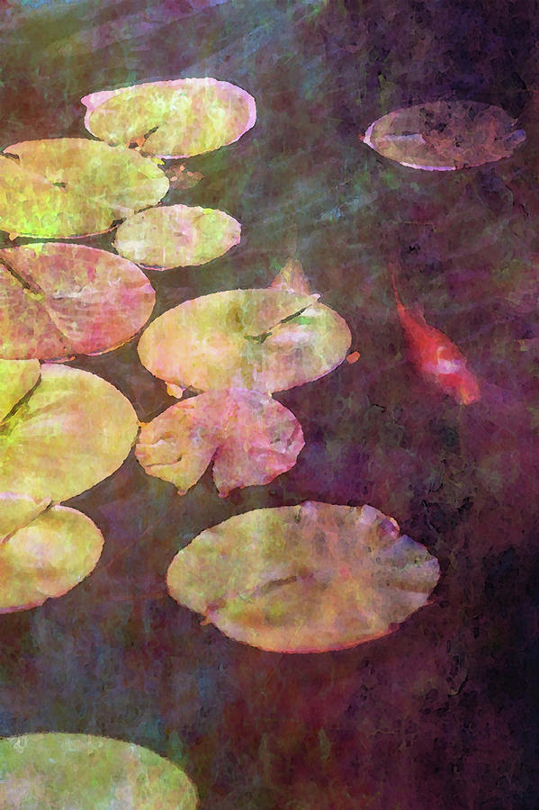 Koi and Lily Pads 2578 IDP_2 Photograph by Steven Ward