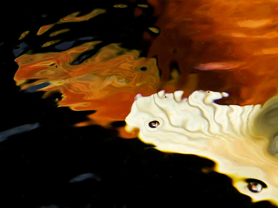 Nature Photograph - Koi Fin Abstract by Jean Noren