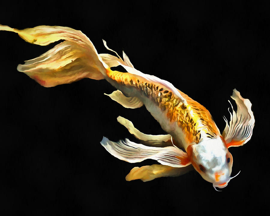 Koi Fish III Digital Art by Ronald Bolokofsky - Fine Art America