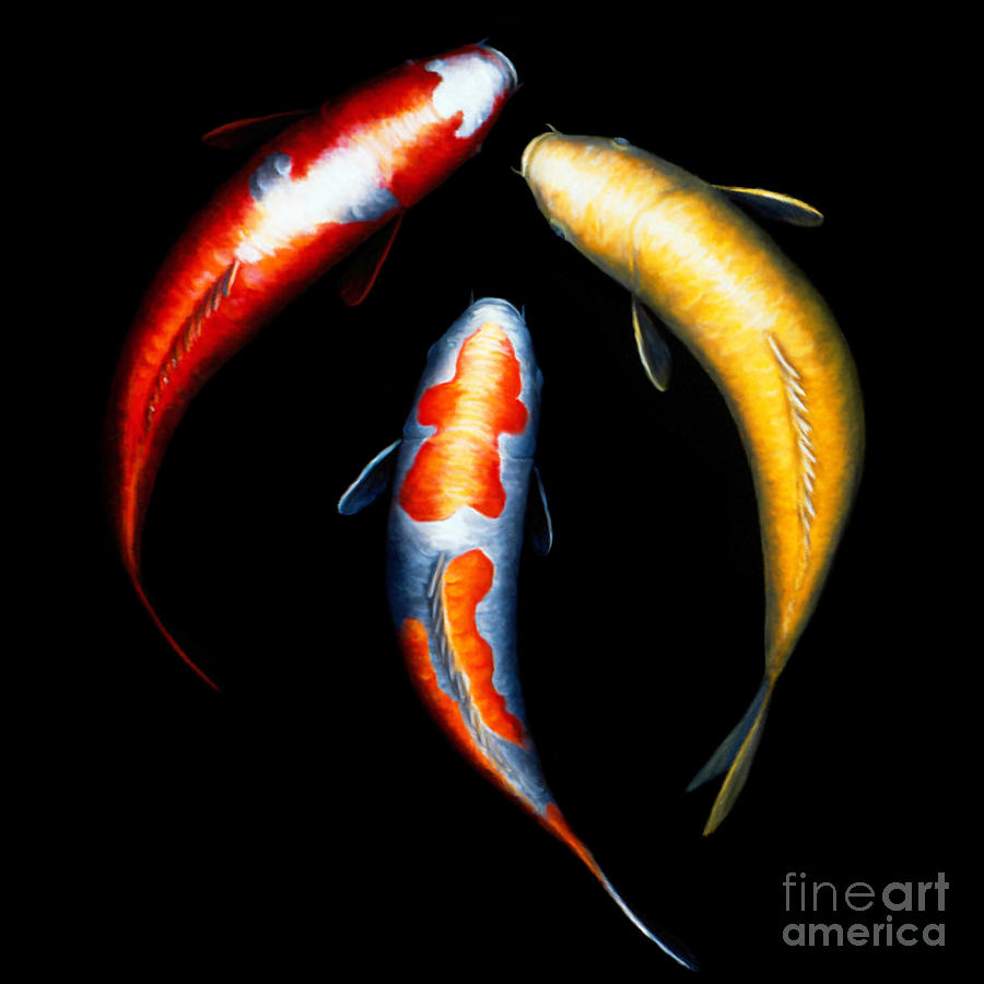 Koi III Painting by Victoria Page