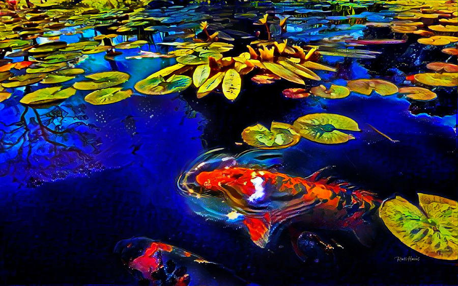 Fish Digital Art - Koi in a Pond of Water Lilies by Russ Harris