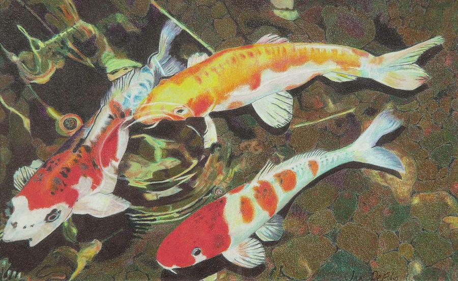 Seriously! 30+ Truths Of Koi Fish Drawing Color They Missed to Let You