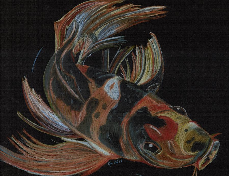 Koi Drawing by Kelly Jay - Fine Art America