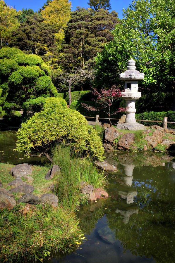 Koi Pond Reflection Japanese Tea Garden at Golden Gate Park - San Francisco Photograph by Jennifer Rondinelli Reilly - Fine Art Photography