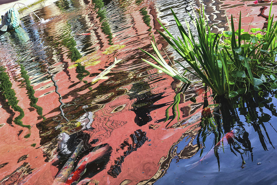 Koi Pond Reflections I  Photograph by Linda Brody