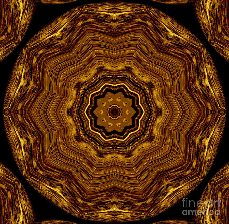 Kolidescope In Metal Digital Art by Wild Rose Studio | Fine Art America