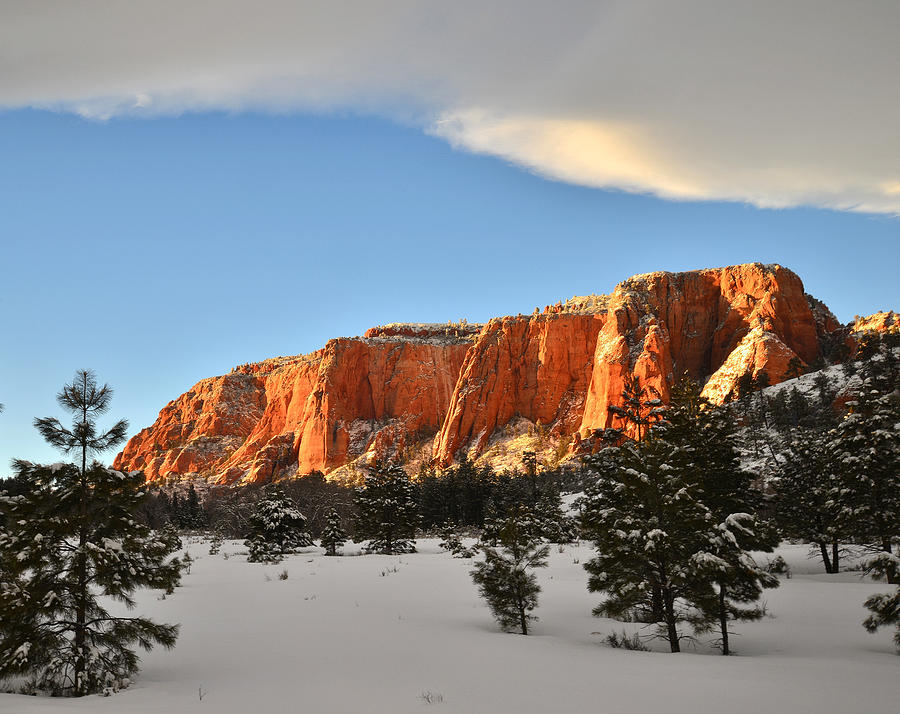 Kolob Canyon High Country Photograph by Ray Mathis