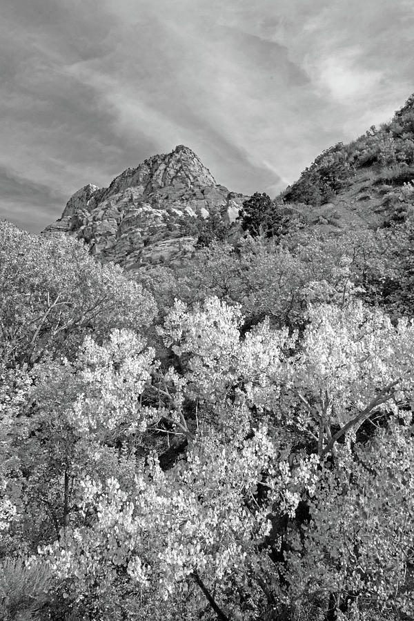 Kolob Canyon No. 63-2 Photograph by Sandy Taylor